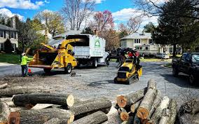 Best Organic Lawn Care Solutions  in Villas, NJ