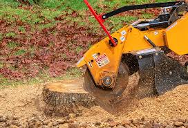 Best Tree Disease Treatment  in Villas, NJ