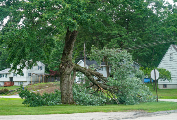 Best Leaf Removal  in Villas, NJ