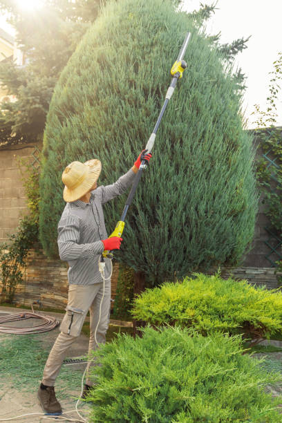 Best Hedge Trimming  in Villas, NJ