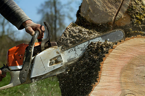 Best Aeration Services  in Villas, NJ